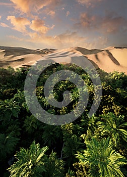 Sand dunes Sahara Desert at sunset and sandstorm