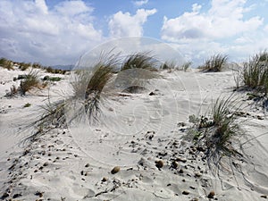 Sand dunes in Sardinia Porto Pino beach