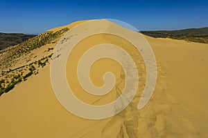 Sand dunes of the Sarykum dune. A natural monument. Dagestan. Russia.