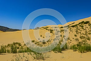 Sand dunes of the Sarykum dune. A natural monument. Dagestan. Russia.
