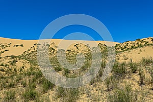 Sand dunes of the Sarykum dune. A natural monument. Dagestan. Russia.