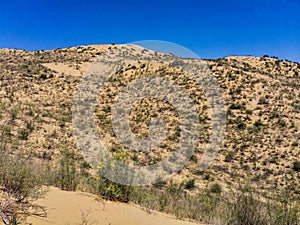 Sand dunes of the Sarykum dune. A natural monument. Dagestan. Russia.