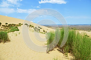 Sand dunes of the Sarykum dune. A natural monument. Dagestan. Russia