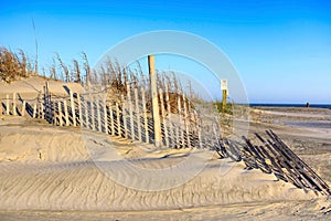 Sand Dunes Sea Oats and Erosion Fencing Folly Beach SC