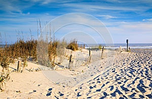 Sand Dunes Sea Oats and Erosion Fencing Folly Beach SC photo