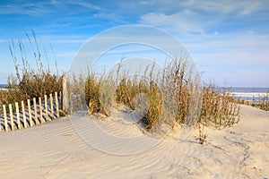 Sand Dunes and Sea Oats Folly Beach South Carolina