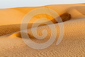 Sand dunes of Sharqiya (Wahiba) Sands, Om