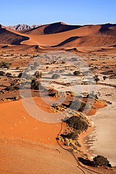 Sand Dunes - Sossusvlie - Namibia