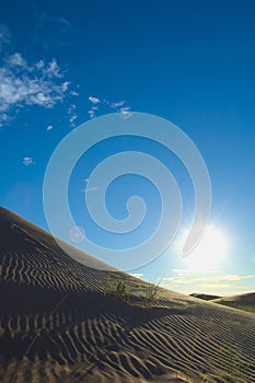 Sand dunes with sparse vegetation