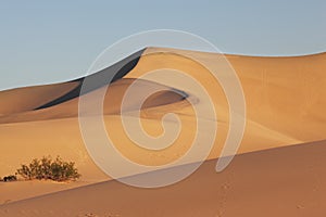 Sand dunes are spectacular gold sunrise