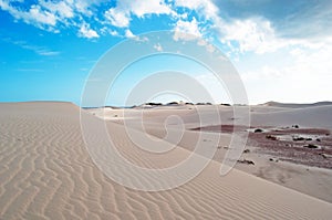 Sand dunes in Stero, 4x4, excursion, Aomak beach protected area, Socotra island, Yemen