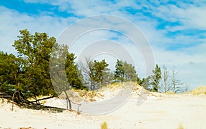 Sand dunes in Stilo, Leba Poland