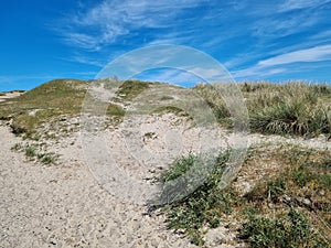 Sand dunes and summer sky scandinavia skagen