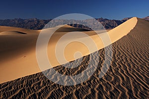 Sand dunes sunset