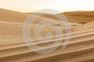 Sand dunes at sunset along the western coast of the Baja peninsula