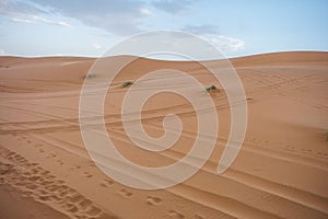 Sand dunes during sunset in Erg Chebbi desert, near Merzouga, Sahara Desert, in Morocco.