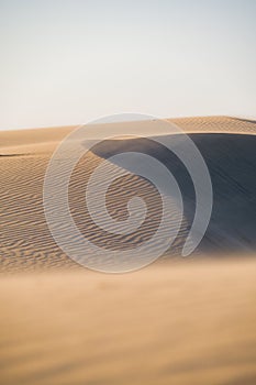 The sand dunes during sunset and strong wind. Summer landscape in the desert. Hot weather.