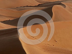 Sand dunes at sunset, Wahiba Sands, Oman