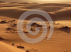 Sand dunes at sunset, Wahiba Sands, Oman