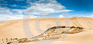 Sand Dunes at Te Paki Reserves