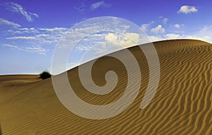 Sand Dunes Of Thar