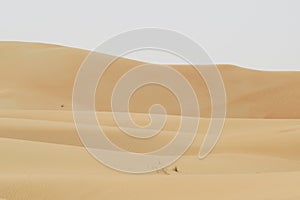 Sand dunes in UAE Desert