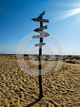 The sand dunes in Ukrainian desert Oleshky Sands