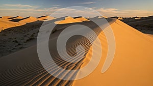 With the cool blues of the sky, suggesting either morning or