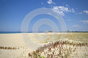 Sand dunes and vegetation with Sunshine Coast background