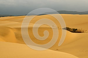 Sand dunes in Venezuela near the city of Coro
