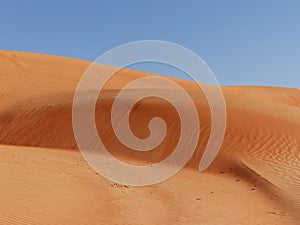 Sand dunes, Wahiba Sands, Oman photo