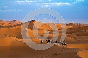 Sand dunes in the Western Sahara with dromedaries