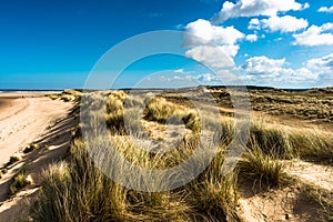 Sand dunes where Norfolk Coast path National Trail from Barnham Overy Staithe reaches the sea