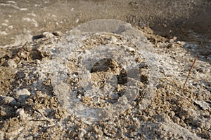 Sand and dust pile