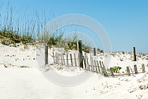 Sand Fence on Beach Dunes