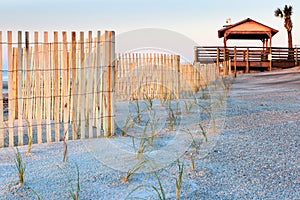 Sand fences and New Plants Folly Beach SC