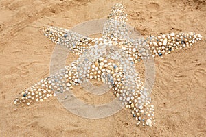 Sand figure of starfish made of seashells