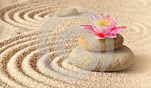 Sand, flower lily and spa stones in zen garden