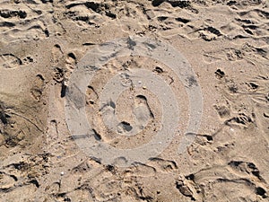 Sand with foot prints of people, children, the background of natural tranquillity. summer trip