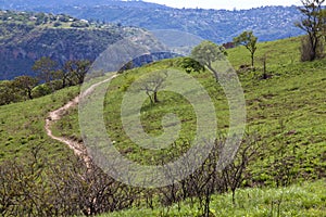 Sand Footpath Winding Through Grassland of Nature Reserve