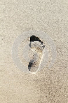 Single footprint on the beach sand
