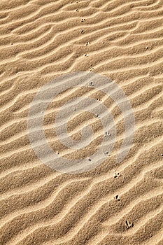 Sand footprints