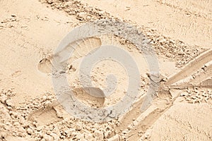 Sand with footprints, bird tracks and wheel trail