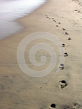 Sand footprints walking toward viewer