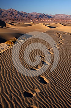 Sand footsteps