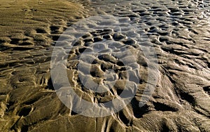 Sand forms