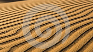 The sand is golden with a smooth texture and the shadows accentuate the ridges