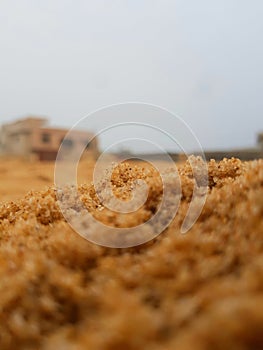 sand grains weather colour house