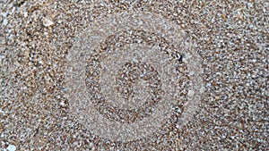 Sand Granules, Fine Aggregate, Beach Sand