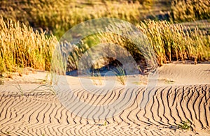 Sand and grass